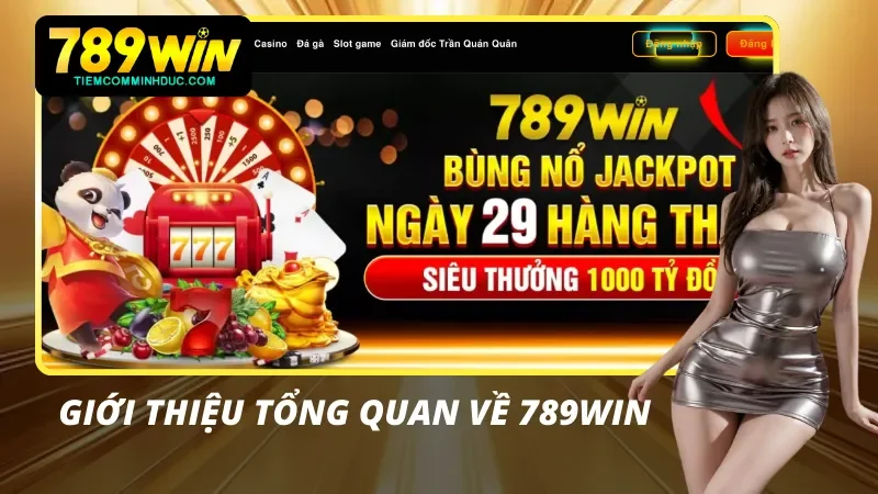 Khái quát thông tin trọng điểm về nhà cái 789WIN